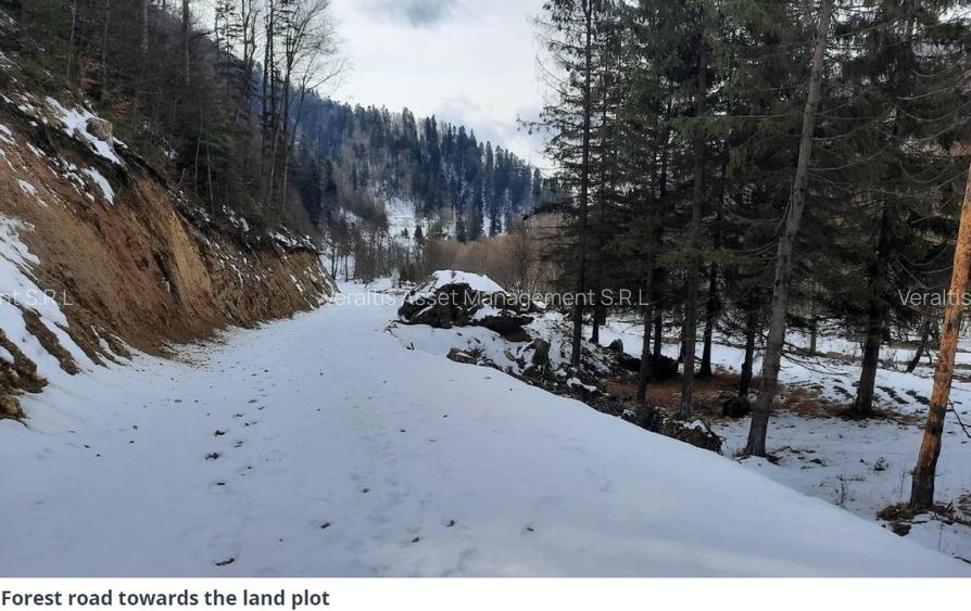 De vanzare teren intravilan 4.500 mp, Timisul de Jos, langa DN1 si PETROM - 6