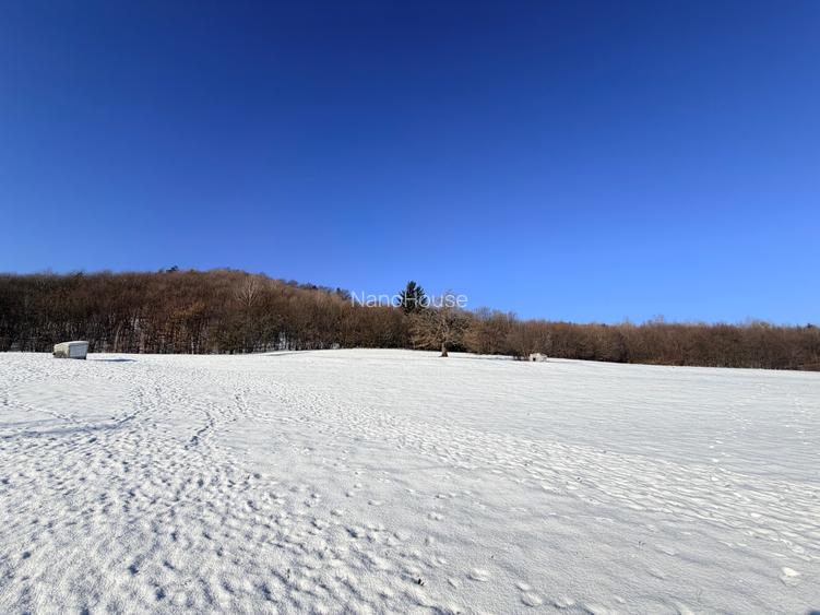 Teren de vanzare pentru investitie - 6