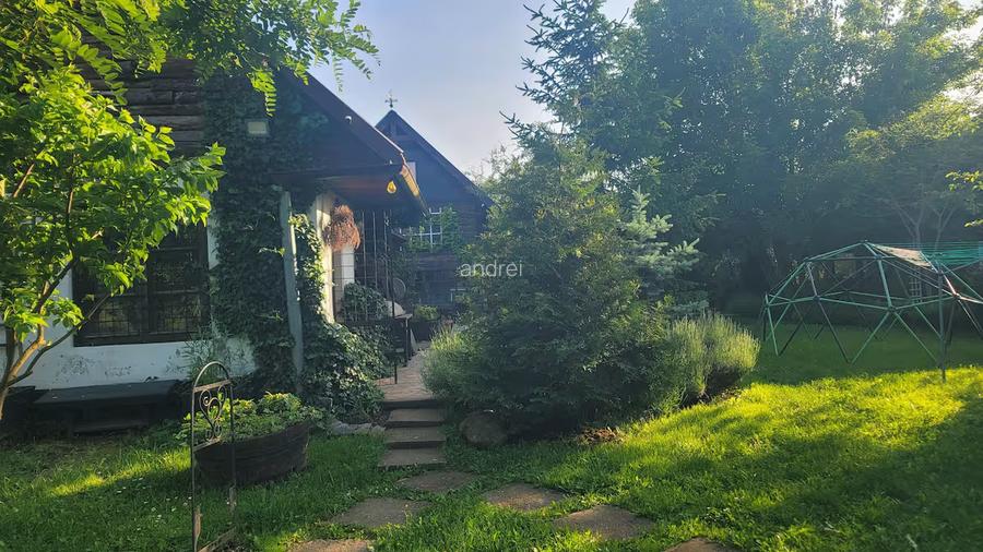 Vand 0.75 ha in Bazna cu 3 case, livada, gradina, pentru pensiune, camping... - 10
