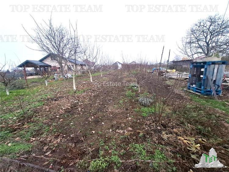 Teren Intravilan Moara Vlasiei 963 mp, Zona Superba, - 3