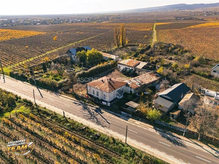FILM! Casa boieresca autentica,domeniu de 4.000 mp intravilan,in podgoriile Odob - 15