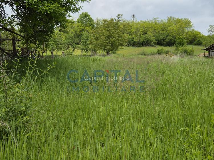 Teren extravilan 8 479 mp, Apahida - 3