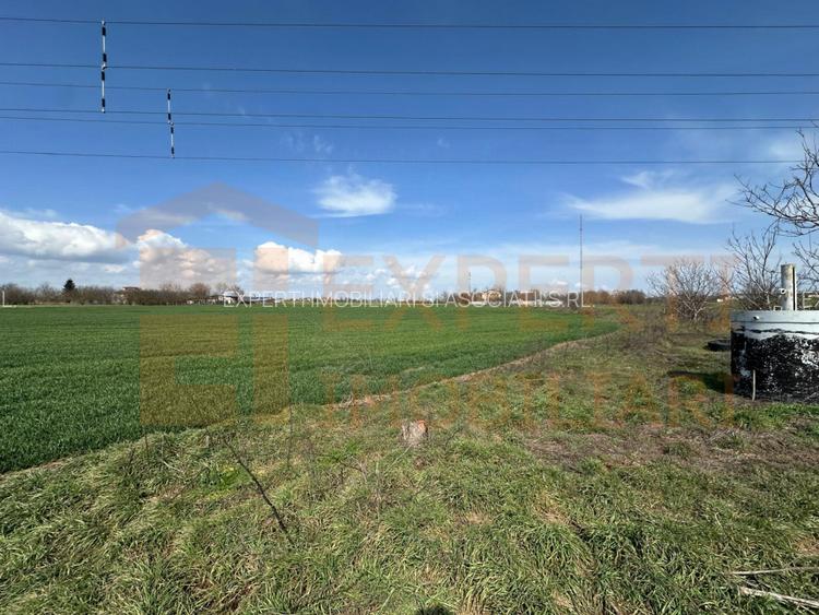 Teren, 18.000 mp, DN -Statia Meteo spre Valu lu Traian - 10