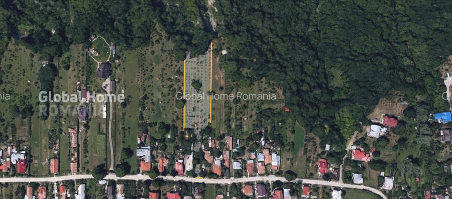 4898 MP Teren Intravilan | Prahova - Cornu De Jos | Toate Utilitatile Prezente - 5