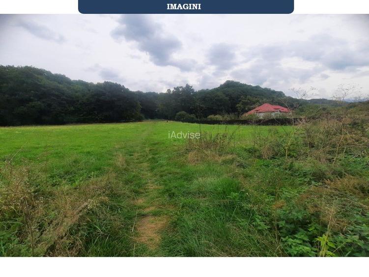 Teren superb Rasnov str Izvorului Cartierul Primaverii - 12