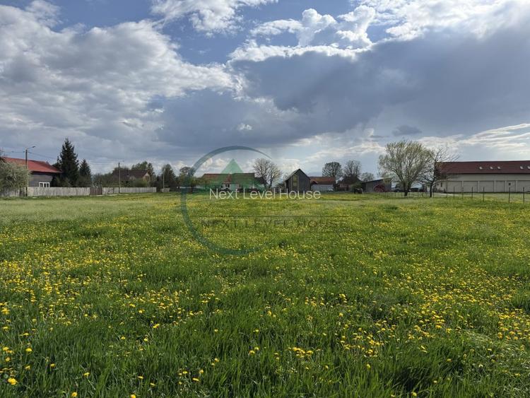 Teren Sat Bacel 6200 mp - 4