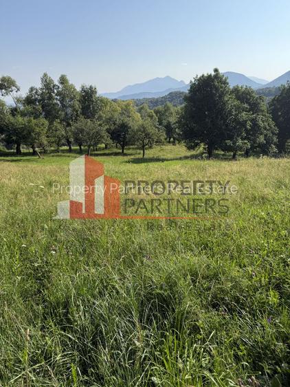 Teren Sohodol 5000 mp - 4