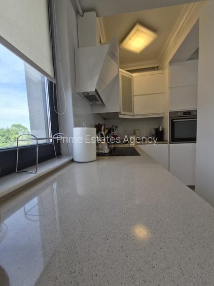 Penthouse tip duplex cu 5 camere, terasă amenajata de 38 mp - Herastrau Parc - 10