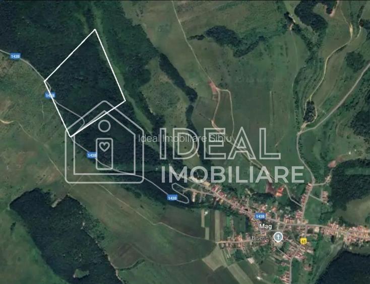 Pădure matură 12,71 ha - Mag, jud. Sibiu - potențial exploatare 2025 - 1