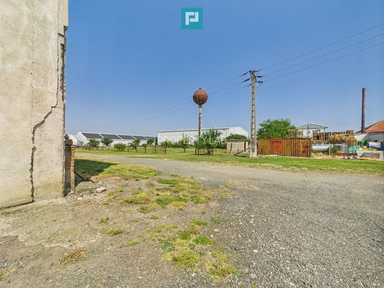 Complex industrial cu hale și teren  în Orțișoara - 42