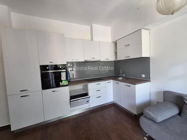 Inchiriere Duplex 2 Camere cu Gradina Iancu Nicolae - 3