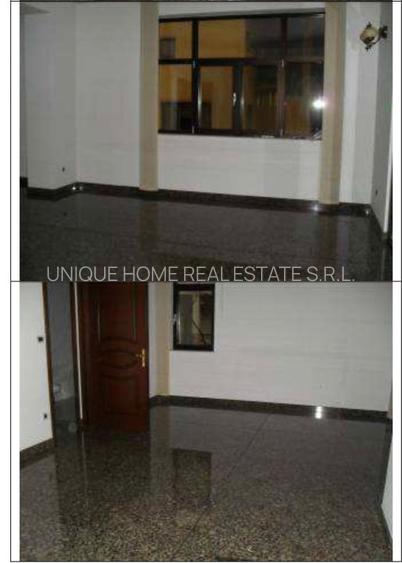 Iancu Nicolae:Vila zona exclusivista,pretabila activitati comerciale - 4