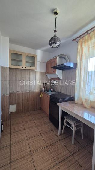 Apartament 2 camere, mobilat, utilat, Campia Libertatii, pet friendly - 12