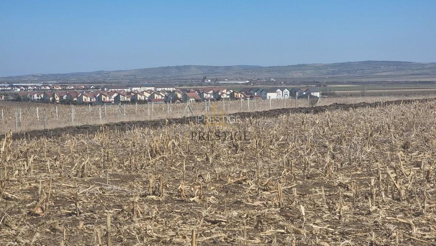 TEREN INTRAVILAN CU UTILITĂȚI | 420-450 MP | ȘURA MICĂ | PUZ APROBAT - 5