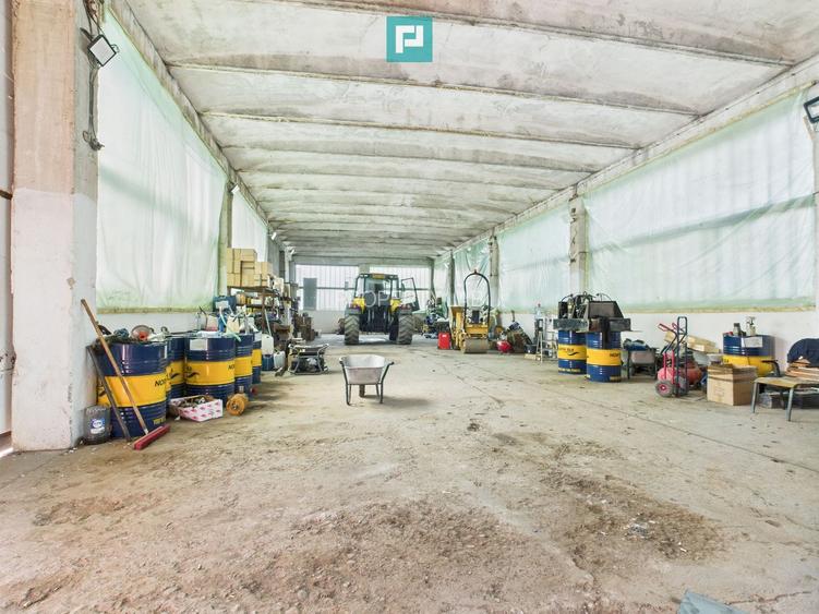 Complex industrial cu hale și teren  în Orțișoara - 13