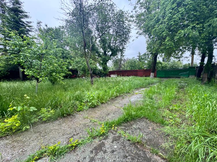 Silistea Snagovului- Gruiu - 3