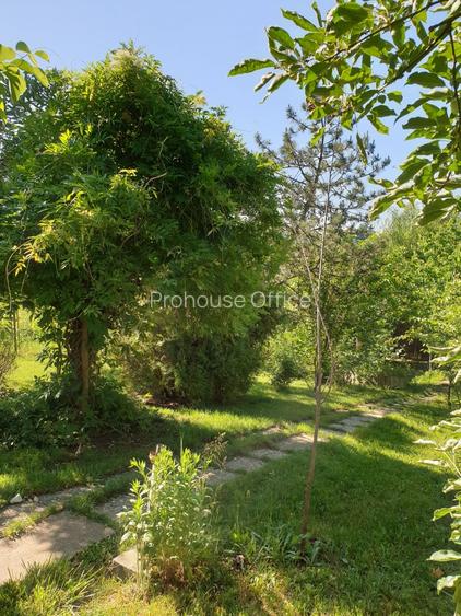 Snagov  Ultimul Refugiu la Lac: Proprietate Rara cu Priveliște de Poveste - 8