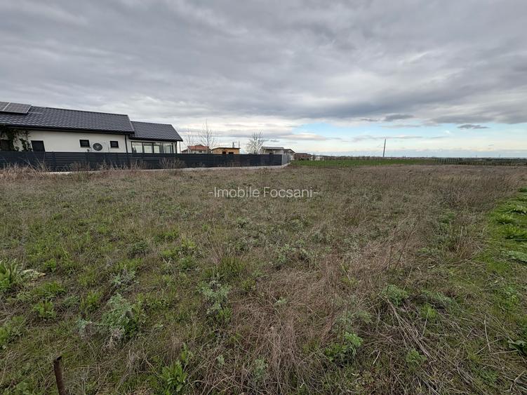 Teren de vânzare în Golești – 3 loturi a câte 530 mp - 3