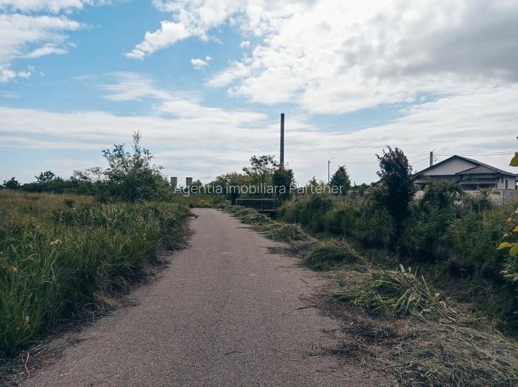 Teren Bradu / Pasarela , Intravilan / Arabil ! - 3