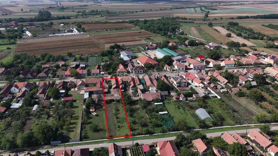 Teren mare cu 2 case si front la 2 strazi in Tamaseu - 51