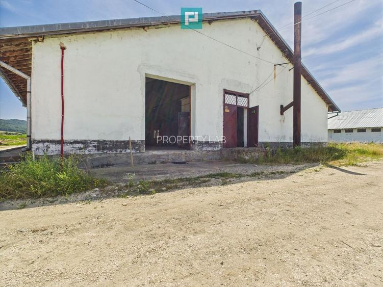 Hale 1800 mp fiecare – acces autostradă, Teiu, HD - 19