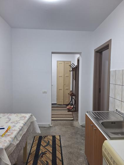 Delfinariu, 2 camere decomandate, gaze, 350 Euro termen lung