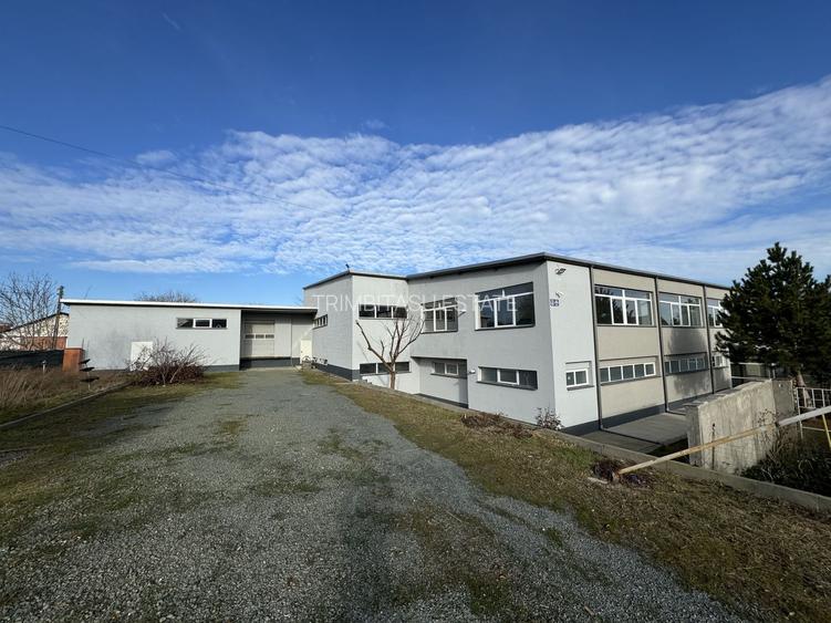 Hala productie P+1 si apartament de serviciu Navodari - c-tie beton - 3