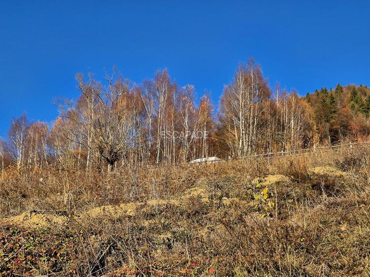 Teren de vânzare în sat Măgura/ Brasov– loc pentru familie, liniște și suflet - 28