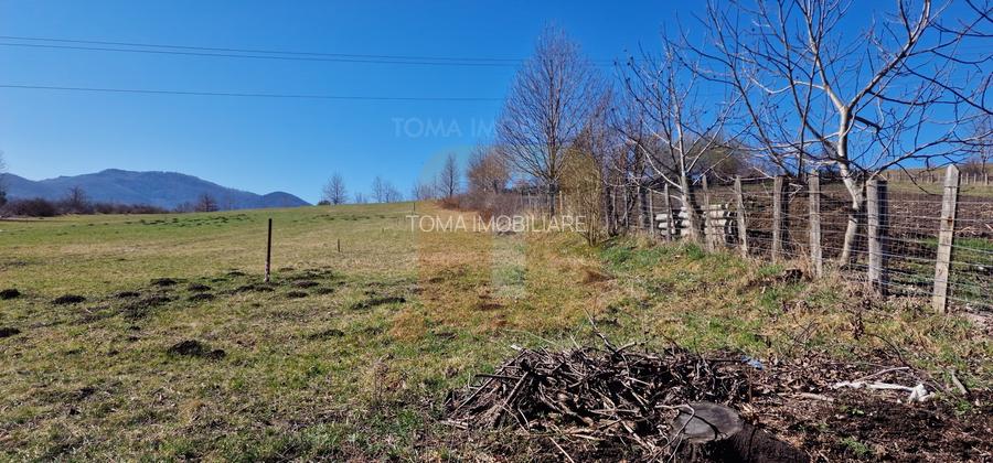 Teren intravilan de 4.000 mp în Bistrița – Alexandru cel Bun - 5