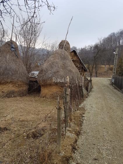 1700p Olanesti str Glodeanu , intrarea Ganesti - 2