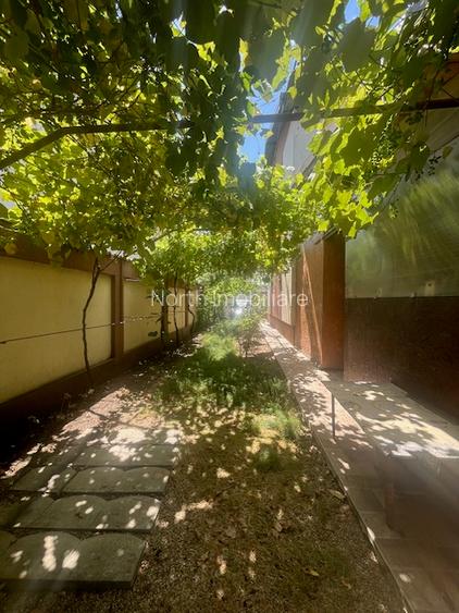 Duplex de vanzare,Domnesti - 25