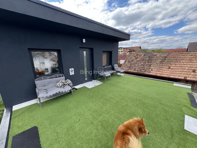 2 Case IDIVIDUALE ,TEREN 1.100 MP , Avram iancu - 13