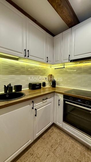 Casa - Apartament de inchiriat ultracentral - Pietonala N Balcescu - 4