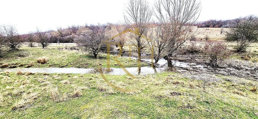 Terenuri extravilane de vânzare – Vizma & Crivobara, comuna Secaș, jud. Timiș - 3