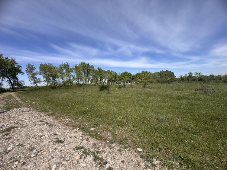 Giroc-Calea Urseni, Parcela teren, Oportunitate investitie - 3