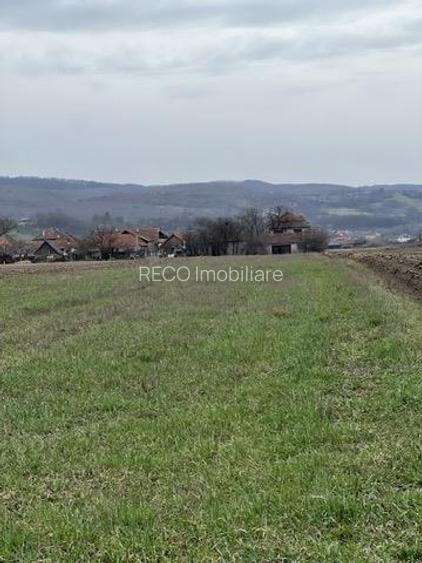 RECO, teren intravilan in Vadu Crisului - 2