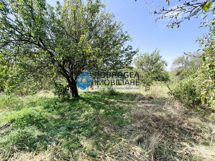 Sat Parches, 2 case  individuale, teren 4860 mp - 14