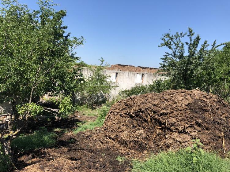 Vand teren agricol in Teleorman-Radoiesti/Cetate-Comision 0! Proprietar direct! - 7