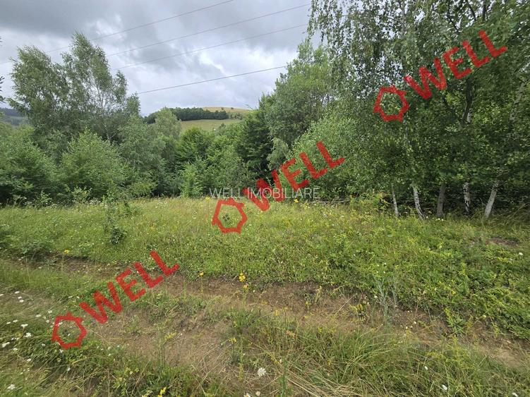 De vânzare teren extravilan loc. Sărămaș - 8