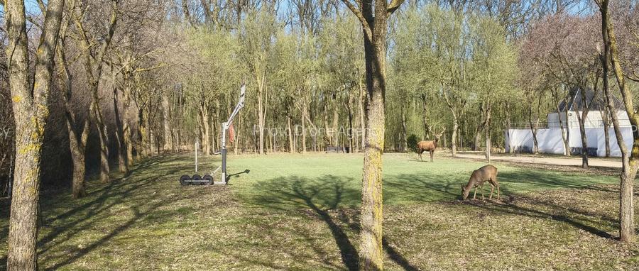 Teren de vanzare Strada Pădurii – „Un loc pe care nu îl alegi, ci te alege.” - 2