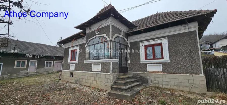 Vanzari Case / vile - 3