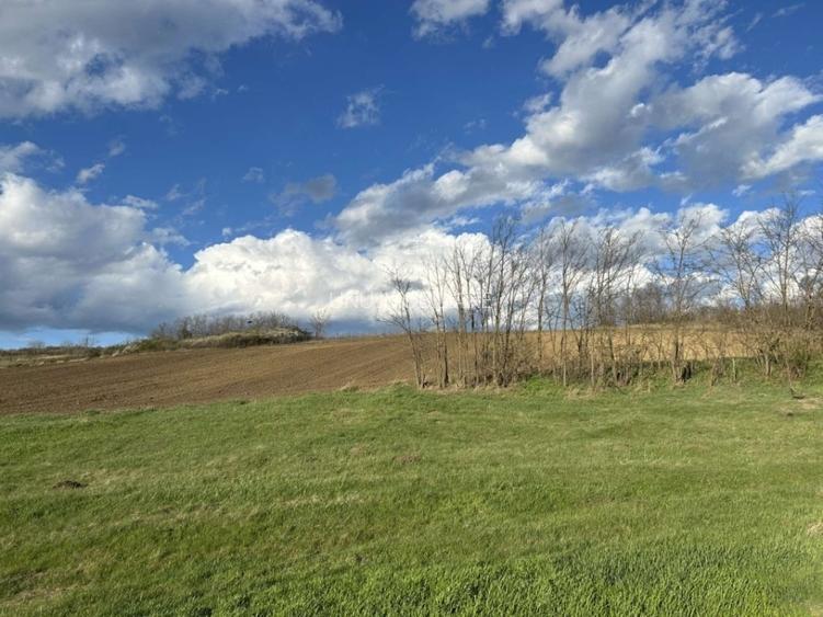 ULTIMELE Parcele 10000euro în extravilan Rediu Iași, 1.3km de Primărie, 424mp - 5