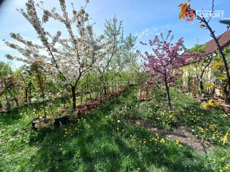 Casa individuala | 5 camere | Teren generos 805 mp | Giarmata Vii - 4