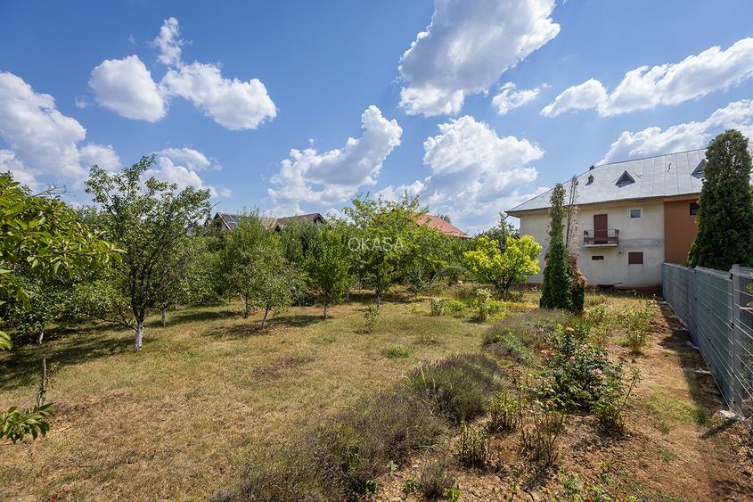 Locație rară: casă între pădure și apă, perfectă pentru un proiect de suflet - 3