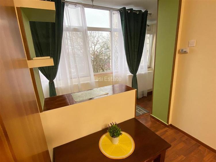 Apartament 1 camera - Tatarasi - 5