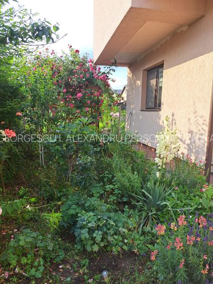 Bragadiru-Safirului Vila Individuala P+1+Pod An 2015 - 10