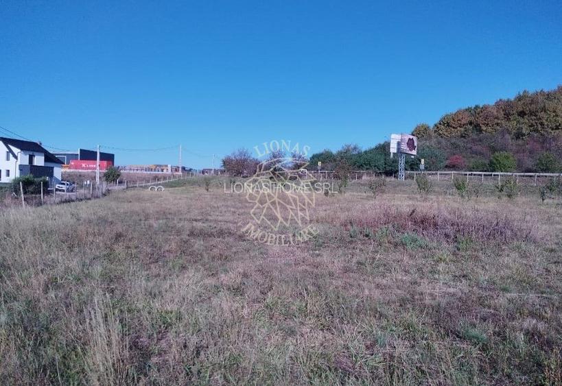Teren intravilan 1,23 Ha la DN17 cu utilitati-livada-Crainimat - 2