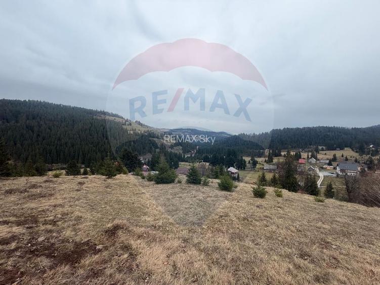 Oază de liniște în inima Apusenilor – teren 6.500 mp Arieșeni - 12