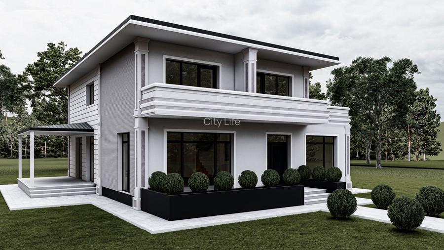 Vila eleganta centru Aroneanu - 2