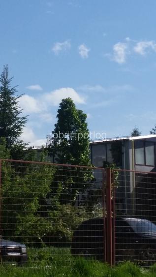 Hala industriala de inchiriat pe Calea Bucuresti folosinta multipla - 12